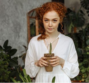 servicios de plantas