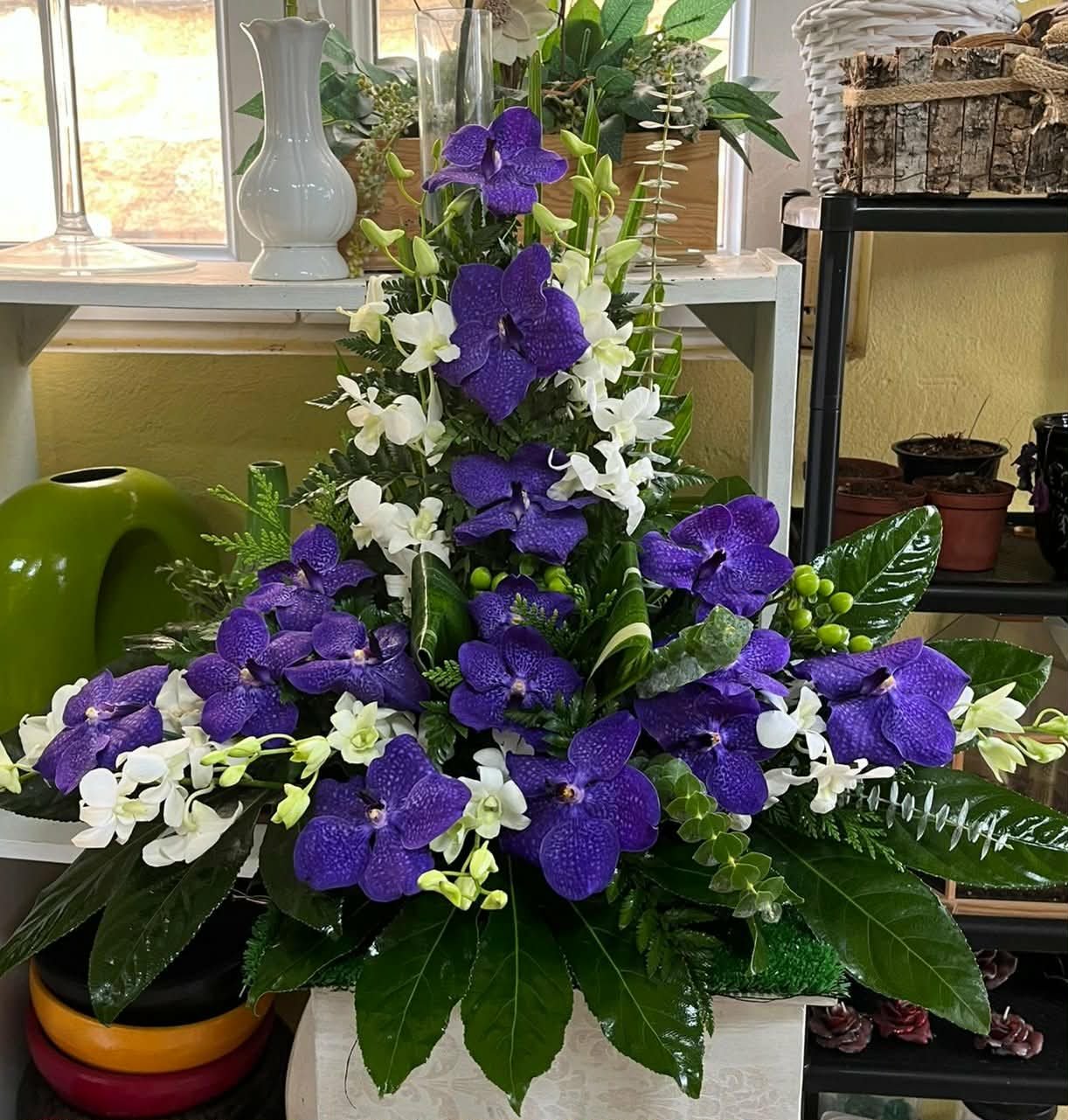 Image hover effect image