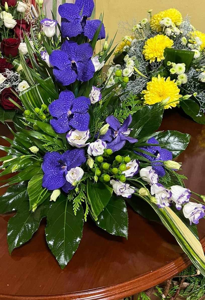 Image hover effect image